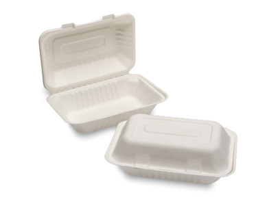 Bagasse Lunch Box 232x155x78mm (9x6") White