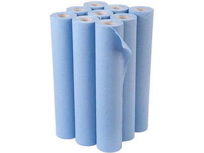 20" Hygiene Roll Recycled Tissue 40m 2ply Blue